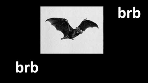 meow online show from 07-29-26, 12:36