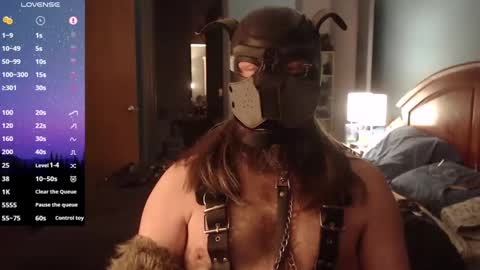 kinkywolf87 online show from 01-23-25, 06:06