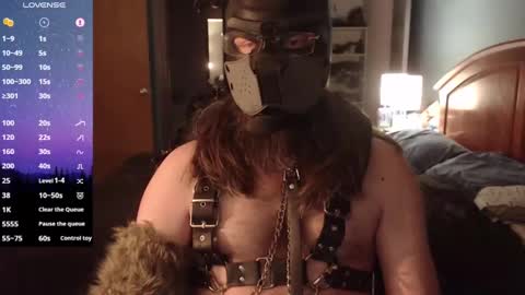 kinkywolf87 online show from 02-06-25, 06:18