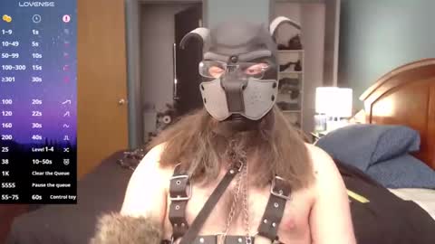 kinkywolf87 online show from 02-10-25, 06:24