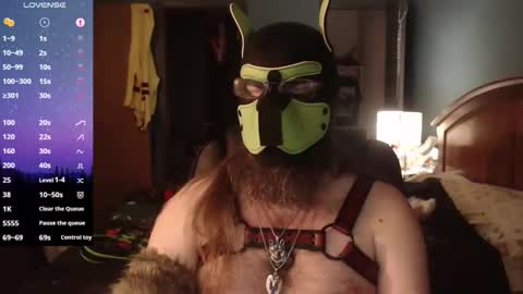 kinkywolf87 online show from 04-03-26, 04:21