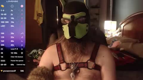 kinkywolf87 online show from 05-08-26, 12:27