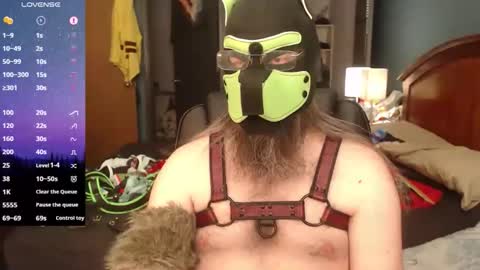 kinkywolf87 online show from 05-15-26, 09:22