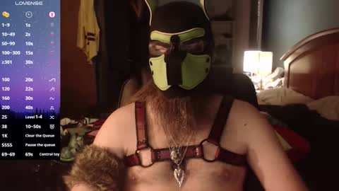 kinkywolf87 online show from 05-20-26, 05:57