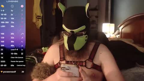 kinkywolf87 online show from 06-09-26, 11:49