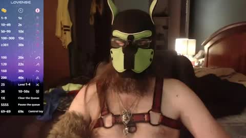 kinkywolf87 online show from 06-11-26, 11:58