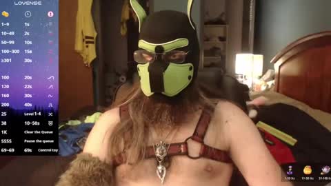 kinkywolf87 online show from 06-12-26, 06:40