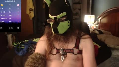 kinkywolf87 online show from 06-14-26, 10:23