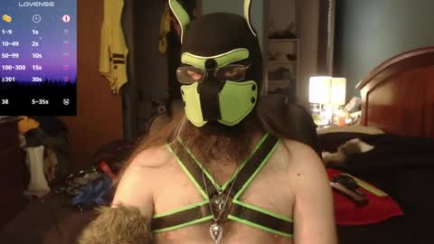 kinkywolf87 online show from 06-15-26, 05:26