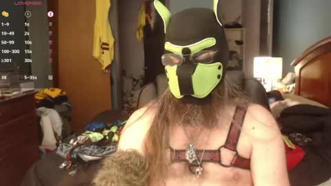 kinkywolf87 online show from 06-22-26, 07:22