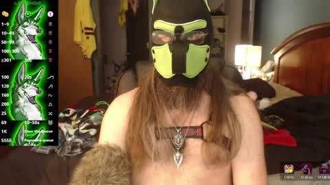 kinkywolf87 online show from 06-29-26, 07:14