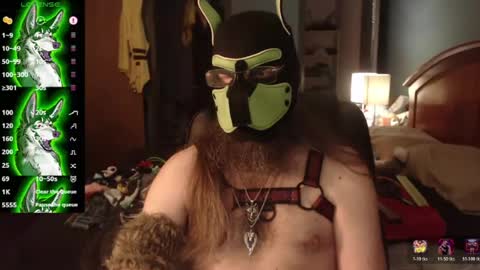 kinkywolf87 online show from 07-02-26, 12:10