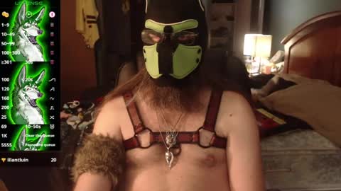 kinkywolf87 online show from 07-03-26, 12:06