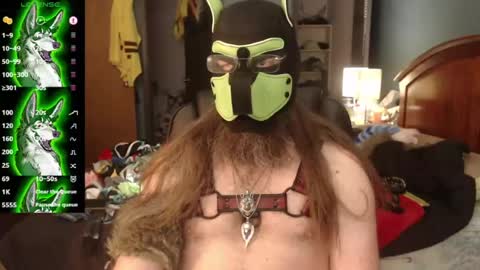 kinkywolf87 online show from 07-05-26, 09:44