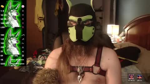 kinkywolf87 online show from 07-06-26, 10:12