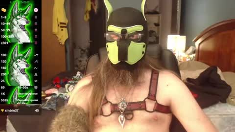kinkywolf87 online show from 07-08-26, 07:29