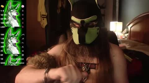 kinkywolf87 online show from 07-12-26, 02:13