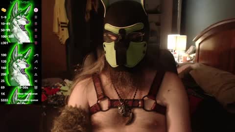 kinkywolf87 online show from 07-18-26, 03:00