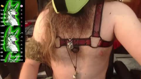 kinkywolf87 online show from 07-19-26, 08:45