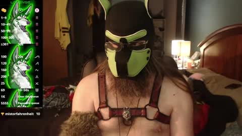 kinkywolf87 online show from 07-20-26, 03:47