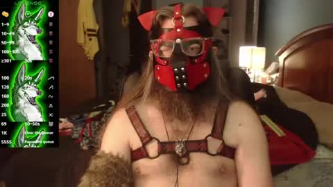 kinkywolf87 online show from 07-22-26, 04:54