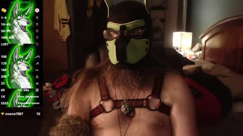 kinkywolf87 online show from 07-24-26, 04:43