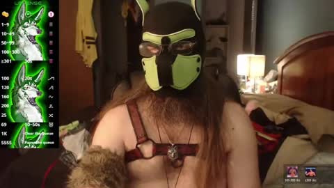 kinkywolf87 online show from 07-27-26, 05:09