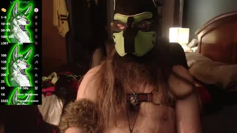 kinkywolf87 online show from 08-03-26, 04:55