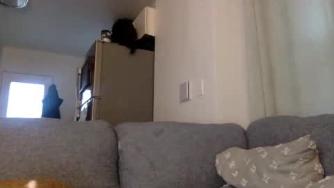 Snapshot of kinnkybwc chatting on 03-29-26, 11:16 kinnkybwc online show from 03-29-26, 11:16