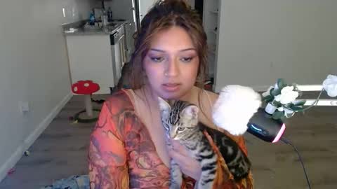 kittengonewild online show from 05-24-26, 11:32