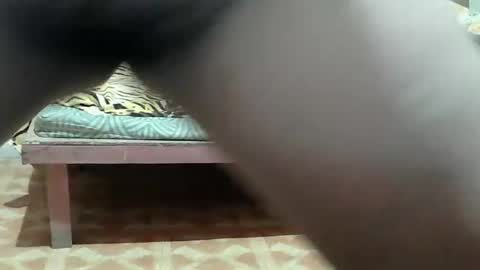 Kitty online show from 03-25-26, 10:49