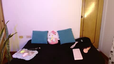 Snapshot of kittycatw chatting on 11-05-25, 05:02 LAURA help me reach 100likes online show from 11-05-25, 05:02