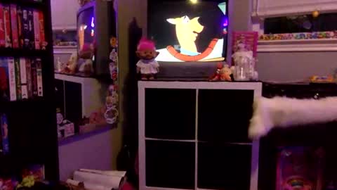 Snapshot of kittykatcoco chatting on 11-11-25, 04:23 kittykatcoco online show from 11-11-25, 04:23