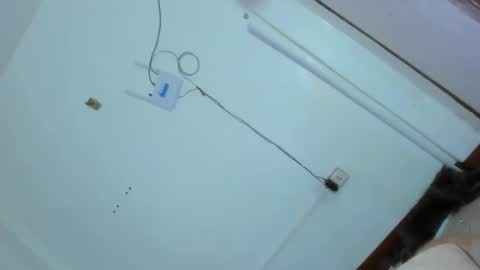 Snapshot of kittylickerfucker69 chatting on 02-25-25, 02:47 Grace online show from 02-25-25, 02:47