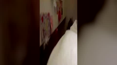 Kitty  Sophie    online show from 06-24-26, 02:54