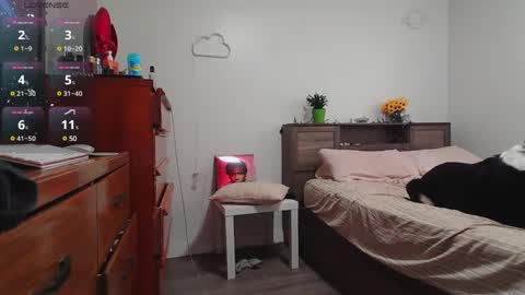 Snapshot of kittyymaze chatting on 12-03-24, 01:43 Kittyymaze online show from 12-03-24, 01:43