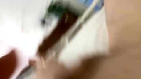 Snapshot of klimt2525 chatting on 01-12-26, 02:11 klimt2525 online show from 01-12-26, 02:11