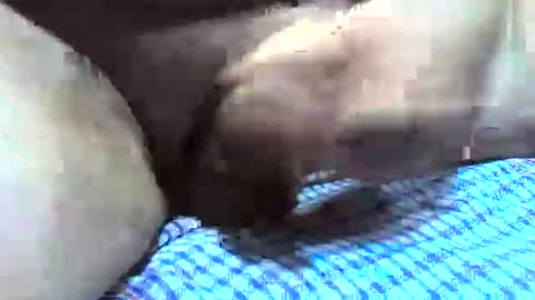 Snapshot of klok8230 chatting on 12-16-25, 02:38 klok8230 online show from 12-16-25, 02:38