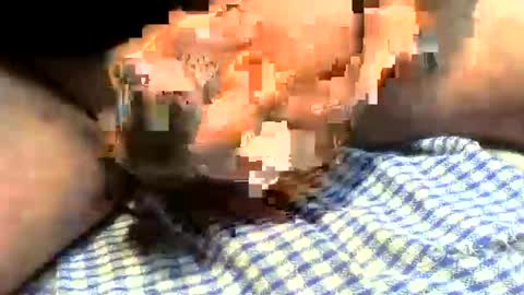 Snapshot of klok8230 chatting on 03-27-26, 01:22 klok8230 online show from 03-27-26, 01:22