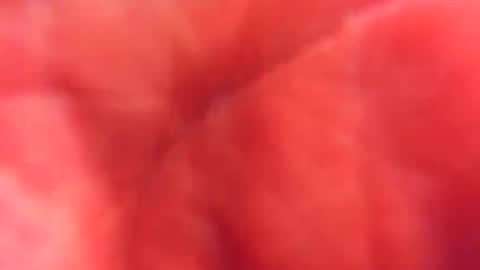 kobayaske online show from 02-15-25, 12:15