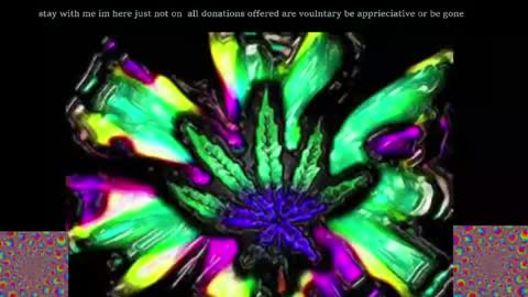 kodiakpm1 online show from 05-08-26, 06:30