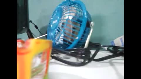 Koto Bombon online show from 12-31-24, 03:01