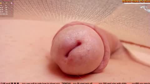 Petra online show from 02-19-26, 08:05