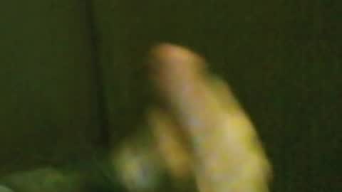 Snapshot of kren565656 chatting on 03-04-26, 11:49 kren565656 online show from 03-04-26, 11:49