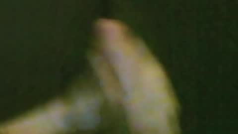 kren565656 online show from 08-03-26, 11:19