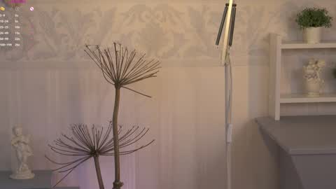 Ksesha online show from 02-06-25, 03:48