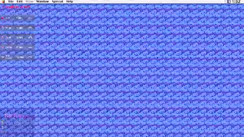 Krypto hethey online show from 07-25-26, 07:00