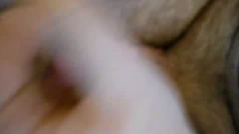 Snapshot of kylegifted chatting on 05-19-26, 03:29 kylegifted online show from 05-19-26, 03:29