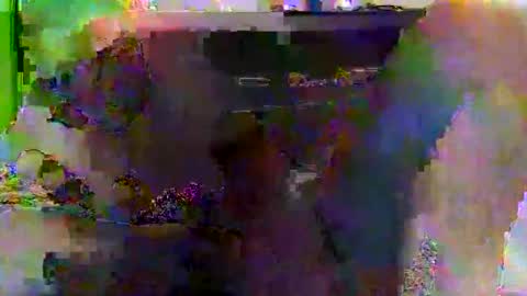 kylevogt2024 online show from 04-14-26, 03:56
