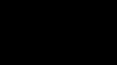 kylie_bloom online show from 10-31-25, 06:20